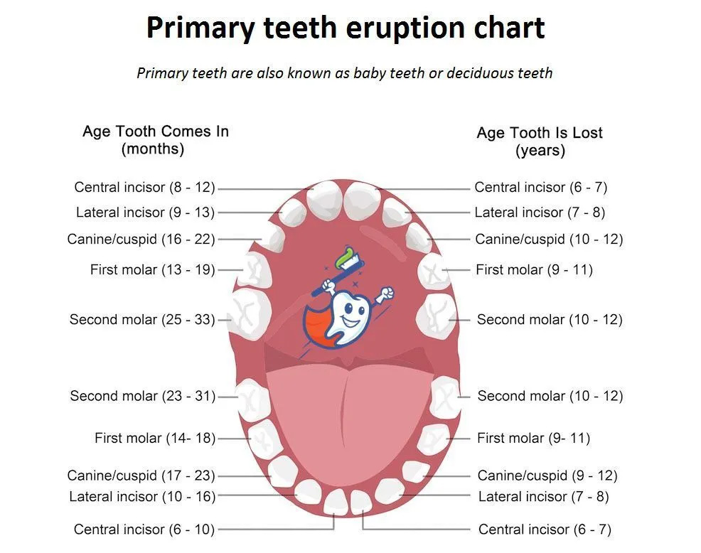 Texas Super Smiles for Kids | Teeth Whitening, Adult Dentistry and Ceramic Crowns